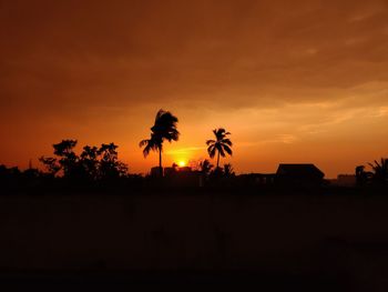 Silhouette palm trees against orange sky