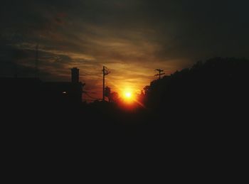 Silhouette of trees at sunset