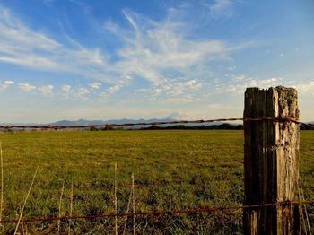 Barbed wire fence on grassy field against blue sky