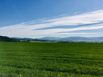 Scenic view of field against sky