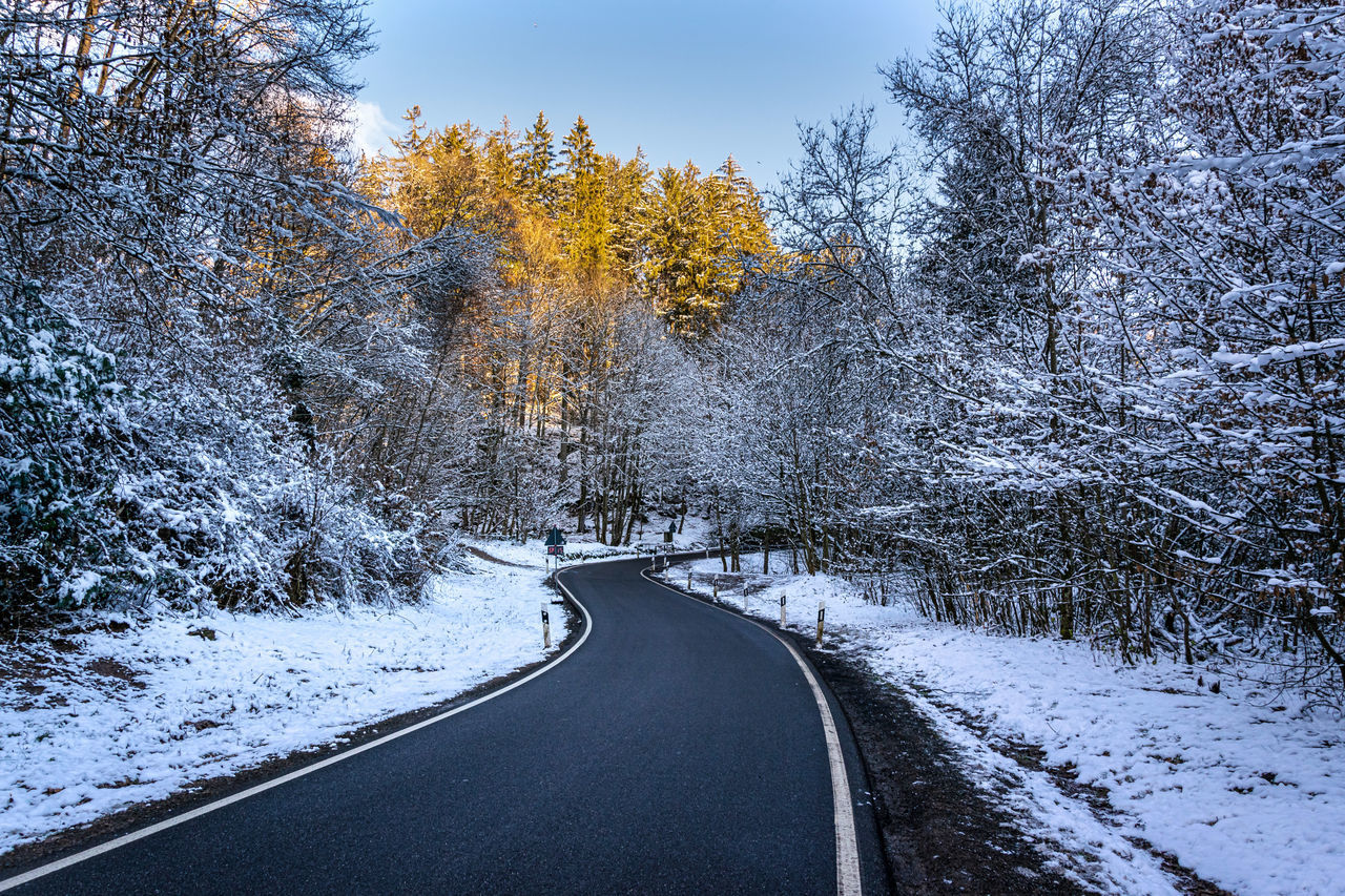 SNOW COVERED ROAD AMIDST TREES