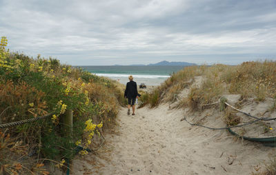 Beautiful morning view at mangawhai heads reserve in northland, new zealand.