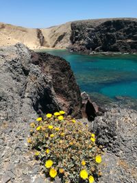 Scenic view of rocks on beach