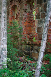 Abandoned brick wall