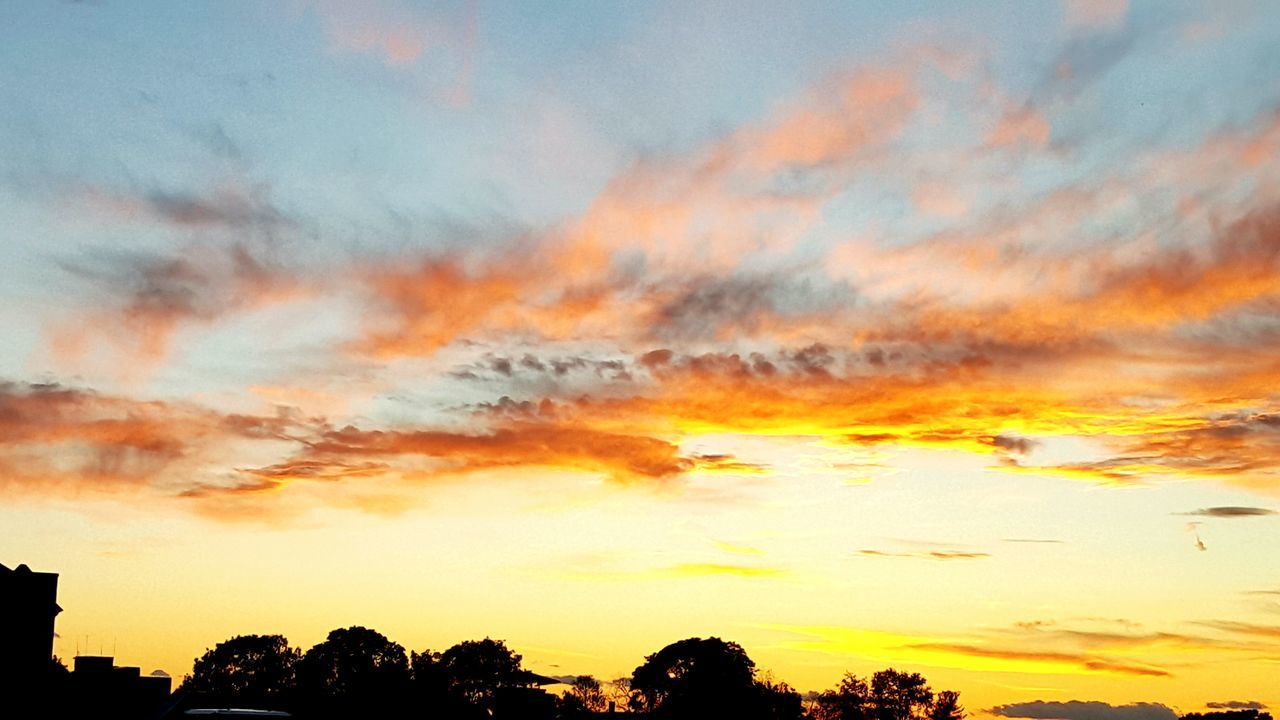 sunset, sky, cloud - sky, beauty in nature, nature, orange color, dramatic sky, scenics, low angle view, silhouette, no people, outdoors, tree, day