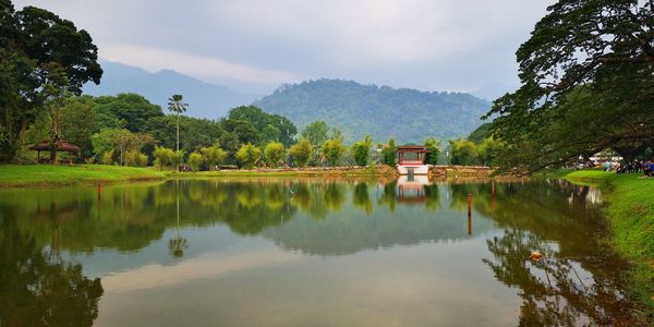 Scenic view of lake by trees against sky