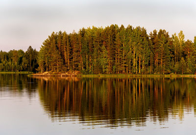 Scenic view of lake in forest against sky