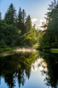 Haze is illuminated by the golden sun over a small river between trees.