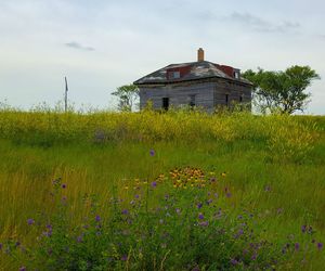 House on field against sky