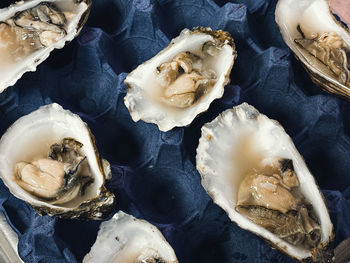 High angle view of food