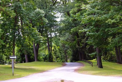 Road amidst trees on landscape