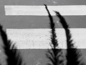 Shadow of man on wall