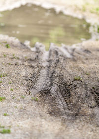 Close-up of water