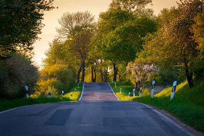 Road amidst trees in park during autumn