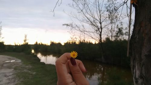 Close-up of woman hand holding flower against river at sunset