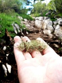 Close-up of hand holding butterfly