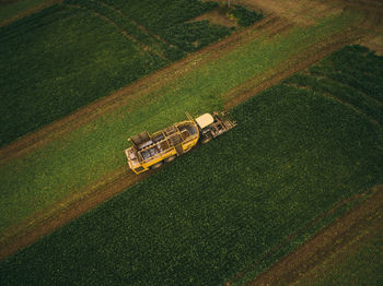 High angle view of tire tracks on field
