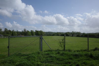 Scenic view of field against sky