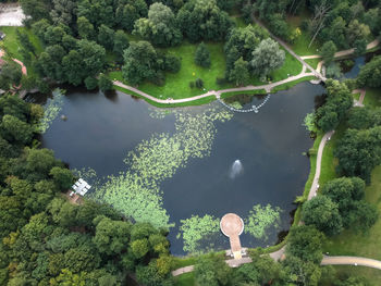 High angle view of trees by lake