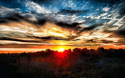 View of trees on landscape at sunset