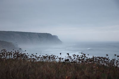 Scenic view of ocean against sky