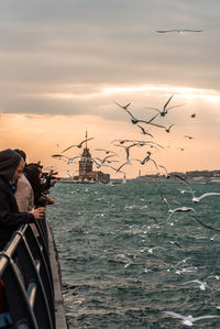 Birds flying over sea against sky during sunset