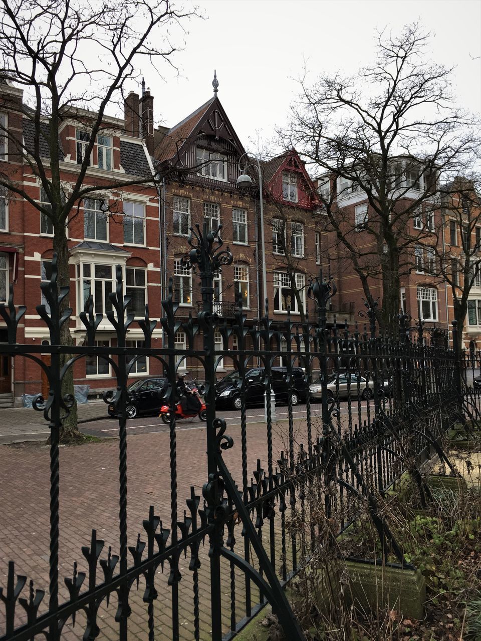 BARE TREES AND BUILDINGS IN CITY