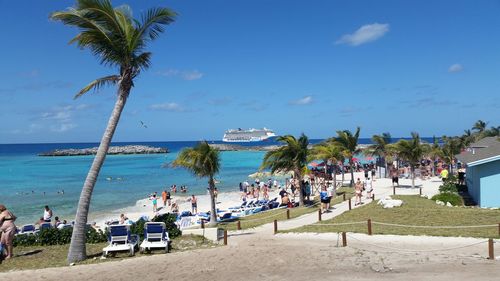 View of palm trees on beach