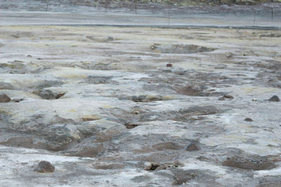 Full frame shot of landscape