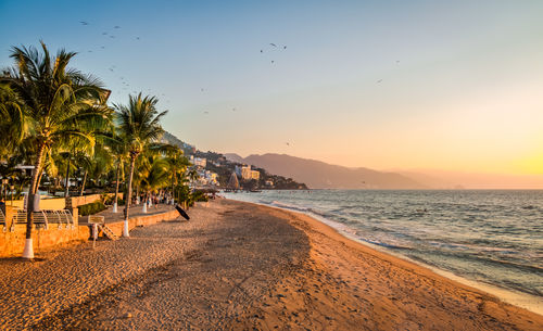 Scenic view of beach against sky during sunset