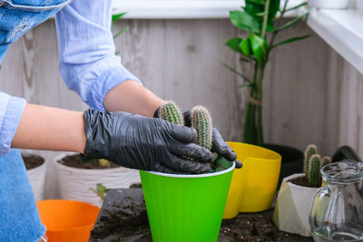 Man working on potted plant