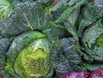 Full frame shot of vegetables