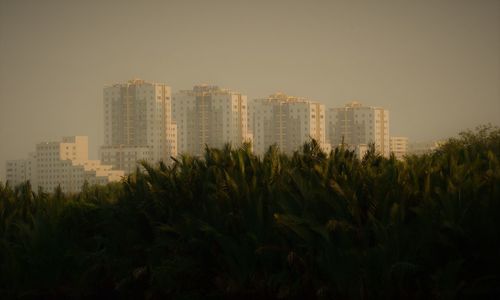 Trees and buildings against sky