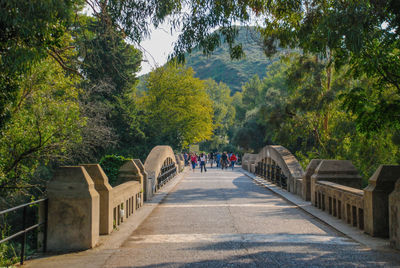 Rear view of people walking on road amidst trees