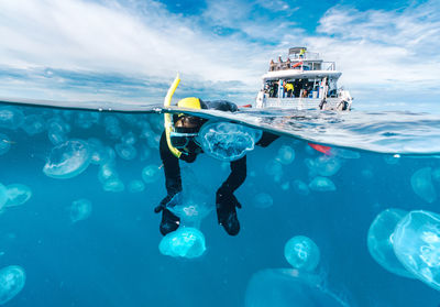 A woman in a black wetsuit is in the water with jellyfish. the jellyfish are floating around her