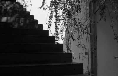 Low angle view of staircase against trees