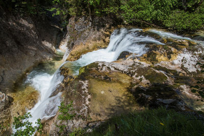 Scenic view of waterfall in forest