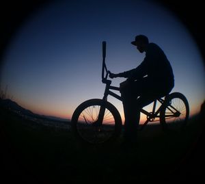 View of trees at sunset