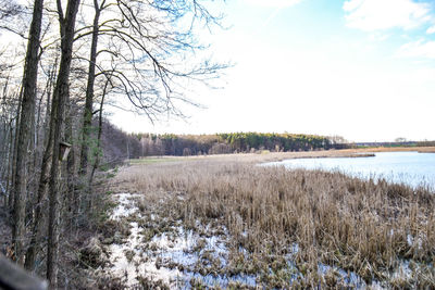 Scenic view of lake against sky