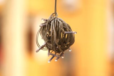 Close-up of electric hanging