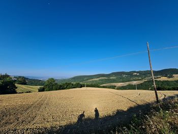 Scenic view of field against clear blue sky