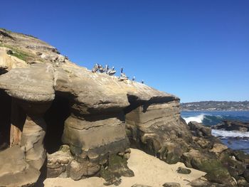 Birds perching on cliff against clear blue sky
