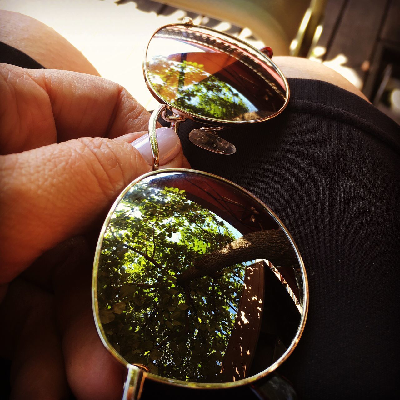 person, part of, cropped, close-up, indoors, unrecognizable person, holding, focus on foreground, freshness, glass - material, plant, reflection, growth, green color, table, day, personal perspective