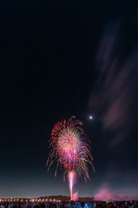 Low angle view of firework display at night