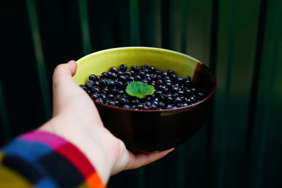 Female hand circle bowl of blueberry, bilberry showing and giving it. deep green dark steel minimal 
