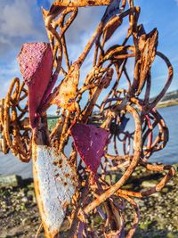 Close-up of rusty metal by sea against sky