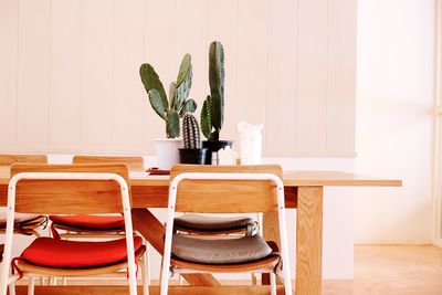 Potted plant on table at home