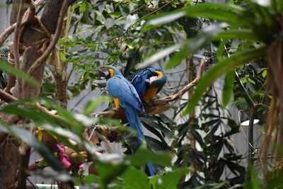 Bird perching on branch