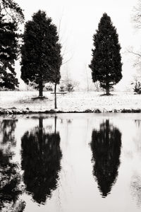 Reflection of trees in lake against clear sky