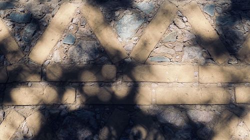 shadow